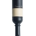 Practice Chanters